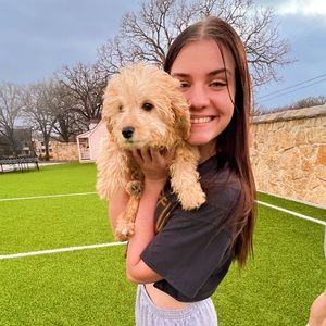 Meet your Posher, Alexis